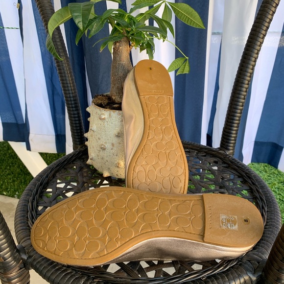 Coach flats - Picture 6 of 13
